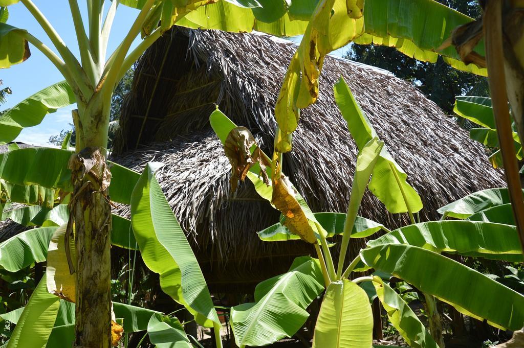 Samon Village Kampot Exterior foto